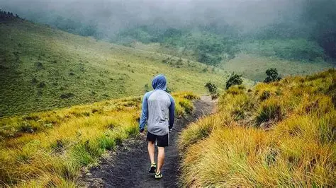 Horton Plains National Park